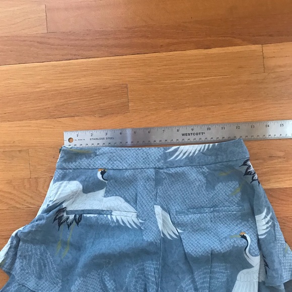🌸Zara Swan Shorts 🛍🛍 - Picture 3 of 6